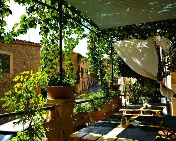 lisette-harzing-7okV_zD_nxA-unsplash